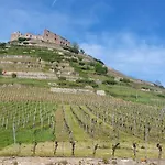 Feldbergblick Apartman Sankt Märgen