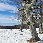Feldbergblick