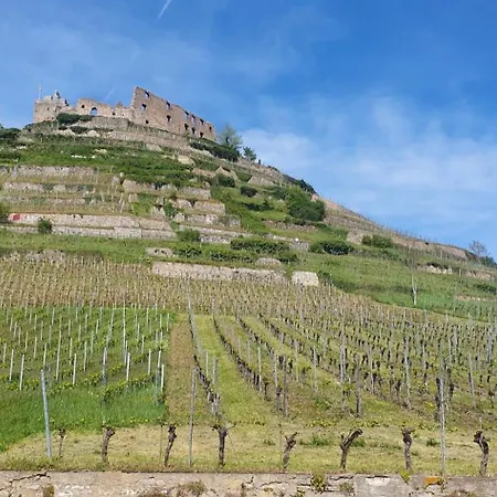 Apartamento Feldbergblick