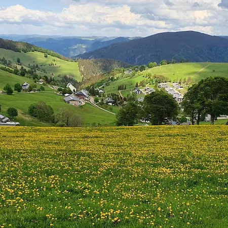 Feldbergblick Apartamento