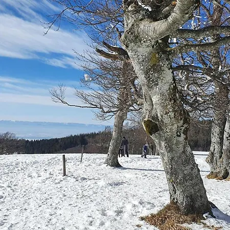 Feldbergblick Apartamento Sankt Märgen