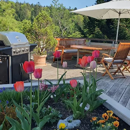 Feldbergblick * Sankt Märgen