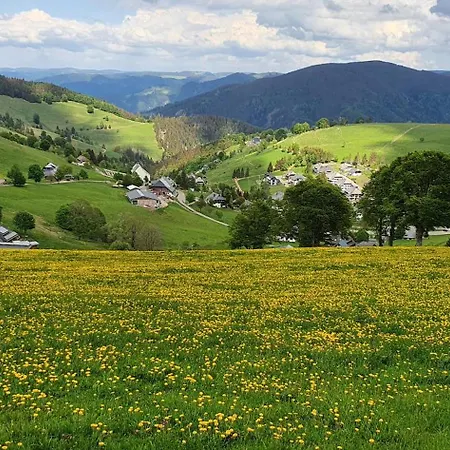 公寓 Feldbergblick