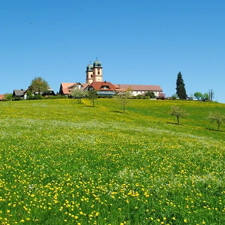 Apartman Feldbergblick Sankt Märgen