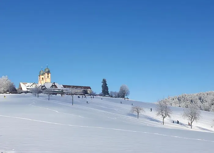 Feldbergblick アパート Sankt Märgen