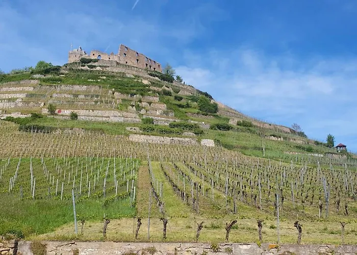 アパート Feldbergblick