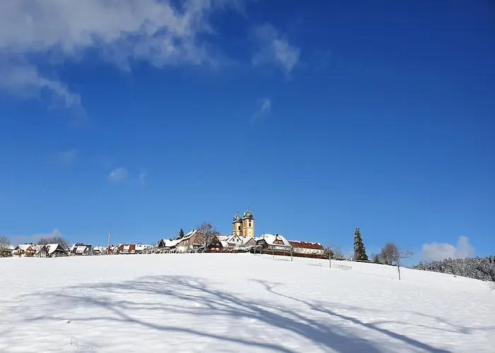 アパート Feldbergblick Sankt Märgen