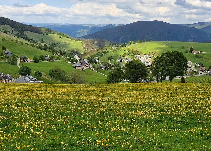 Feldbergblick アパート