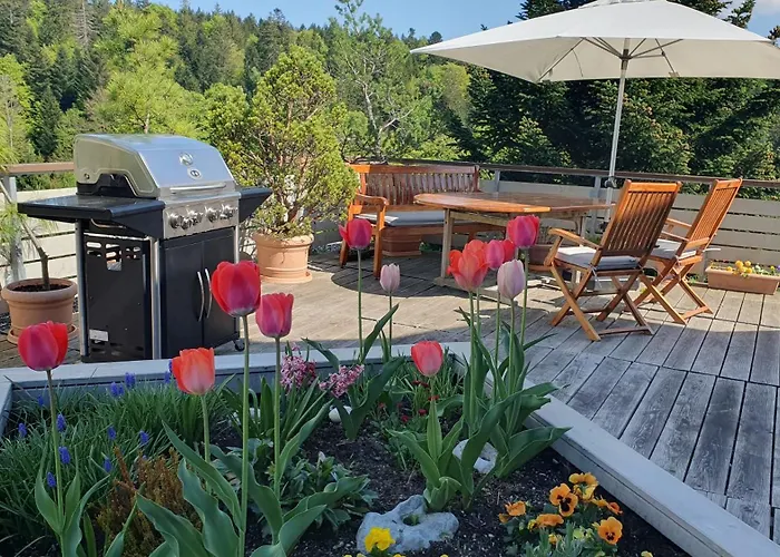 Feldbergblick * Sankt Märgen